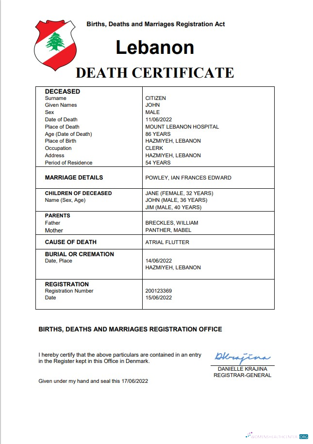 Download Lebanon death certificate Word and PDF template Photoshop template